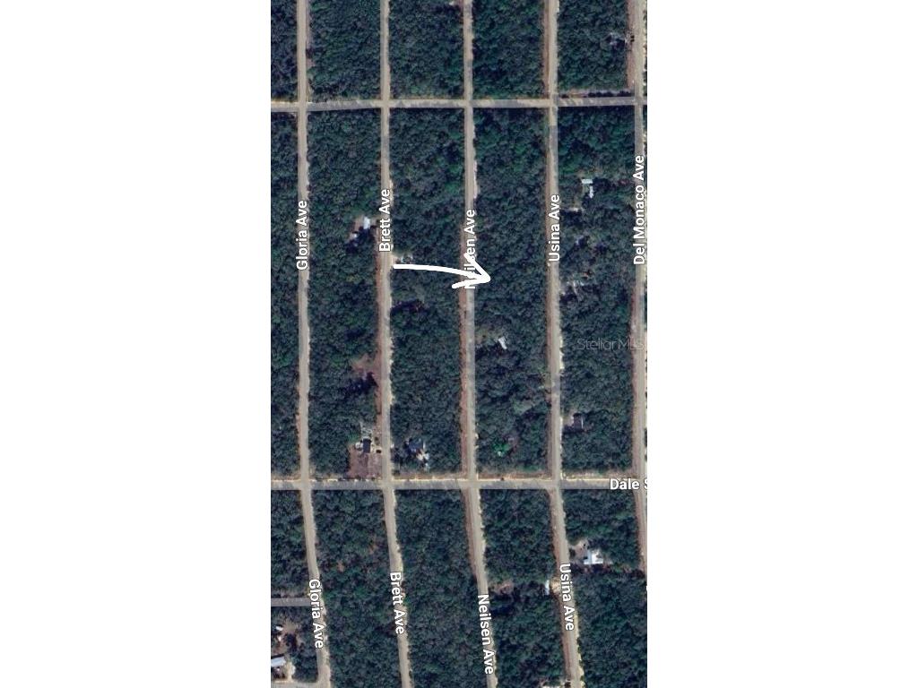 LOT 7 Neilsen Avenue Interlachen FL 32148 OM710451 image3