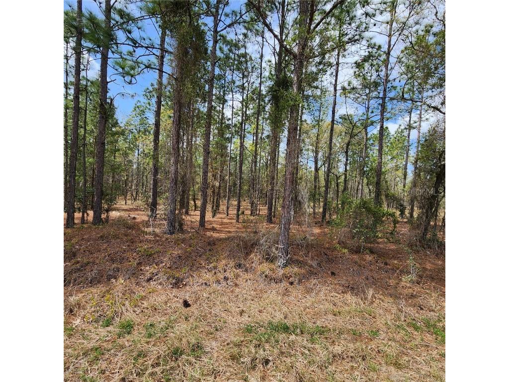 LOT 7 NW Ridgewood Road Dunnellon FL 34431 OM654422 image1