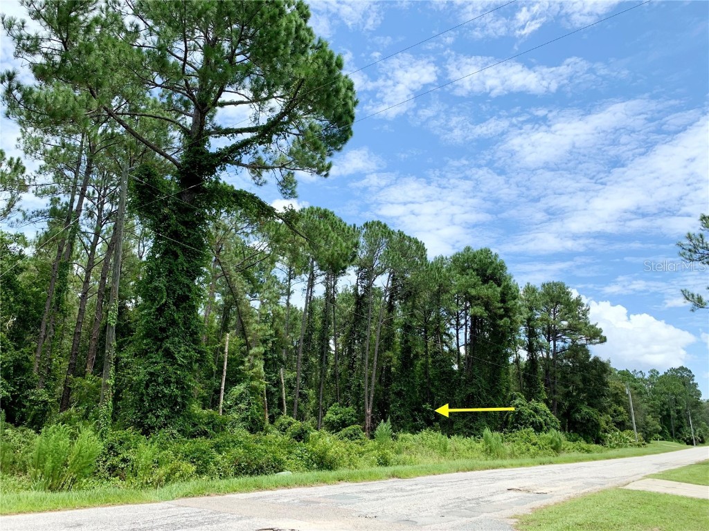 LOT 7 Quince Avenue Eustis FL 32736 G5071473 image1