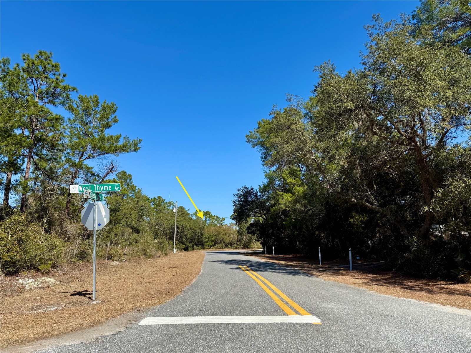LOT 7 Shady Rose Court Eustis FL 32736 - LAKE NORRIS G5108150 image1
