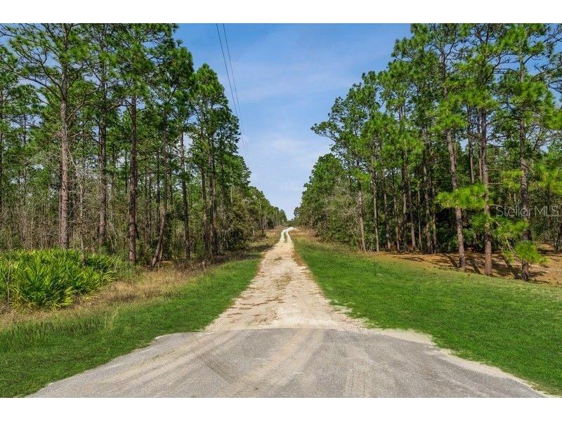 LOT 7 SW 123rd Ave Road Ocala FL 34481 O6092022 image1