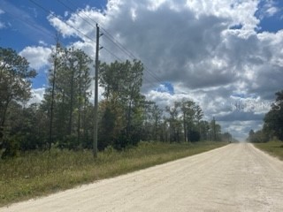 LOT 7 SW 91st Lane Dunnellon FL 34432 O6064403 image1