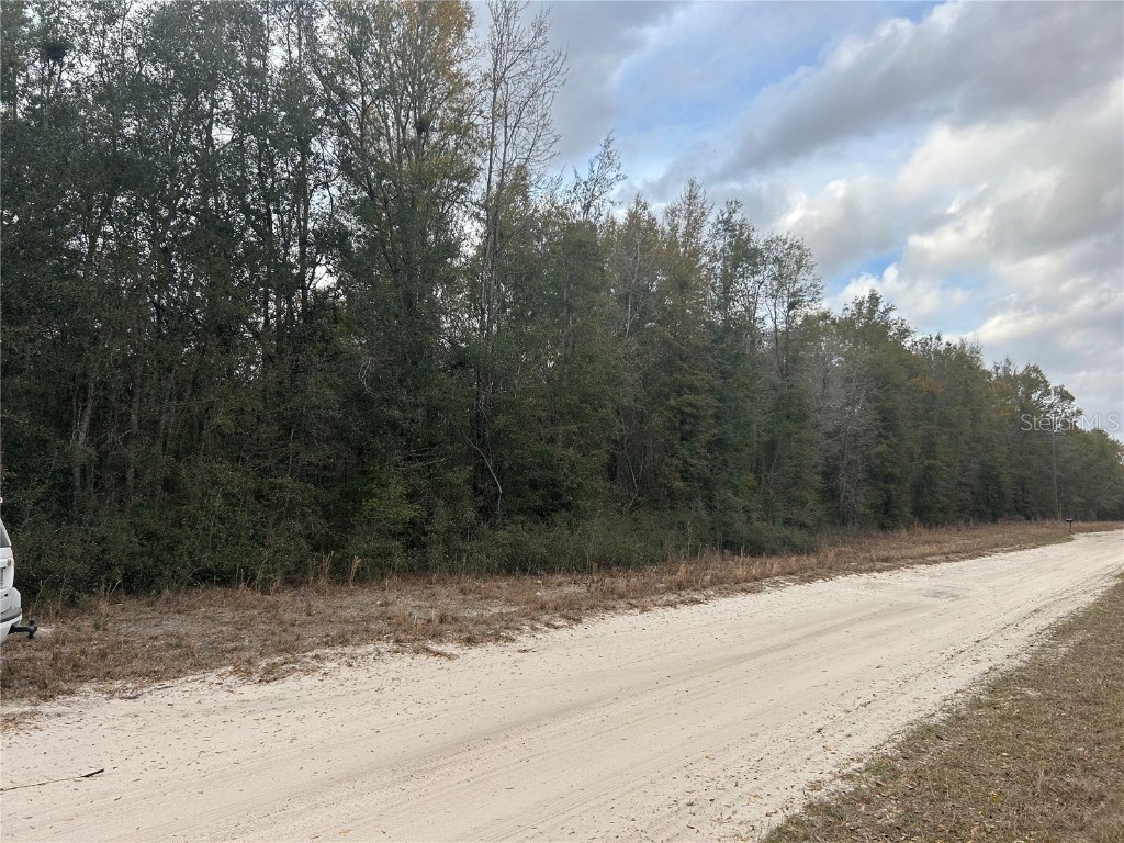 LOT 7 SW Coyote Circle Fort White FL 32038 U8237567 image1