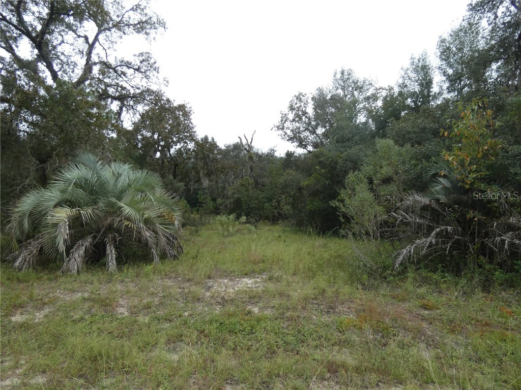 LOT 7 SW Neptune Boulevard Dunnellon FL 34431 OM666279 image1
