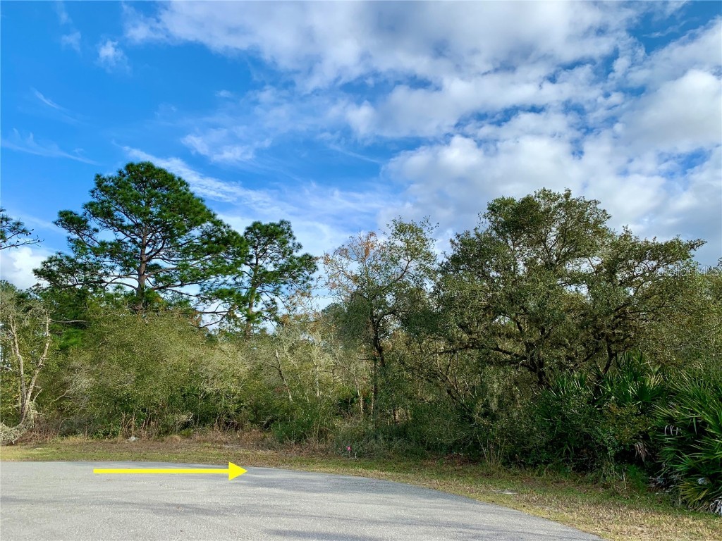 LOT 7 W Bluebell Avenue Eustis FL 32736 - LAKE NORRIS G5077692 image1