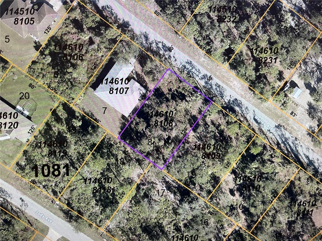 LOT 8910 Hurley Avenue North Port FL 34288 N6132265 image2