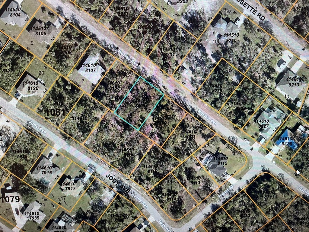 LOT 8910 Hurley Avenue North Port FL 34288 N6132265 image3