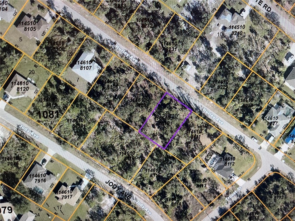 LOT 8910 Hurley Avenue North Port FL 34288 N6132265 image4