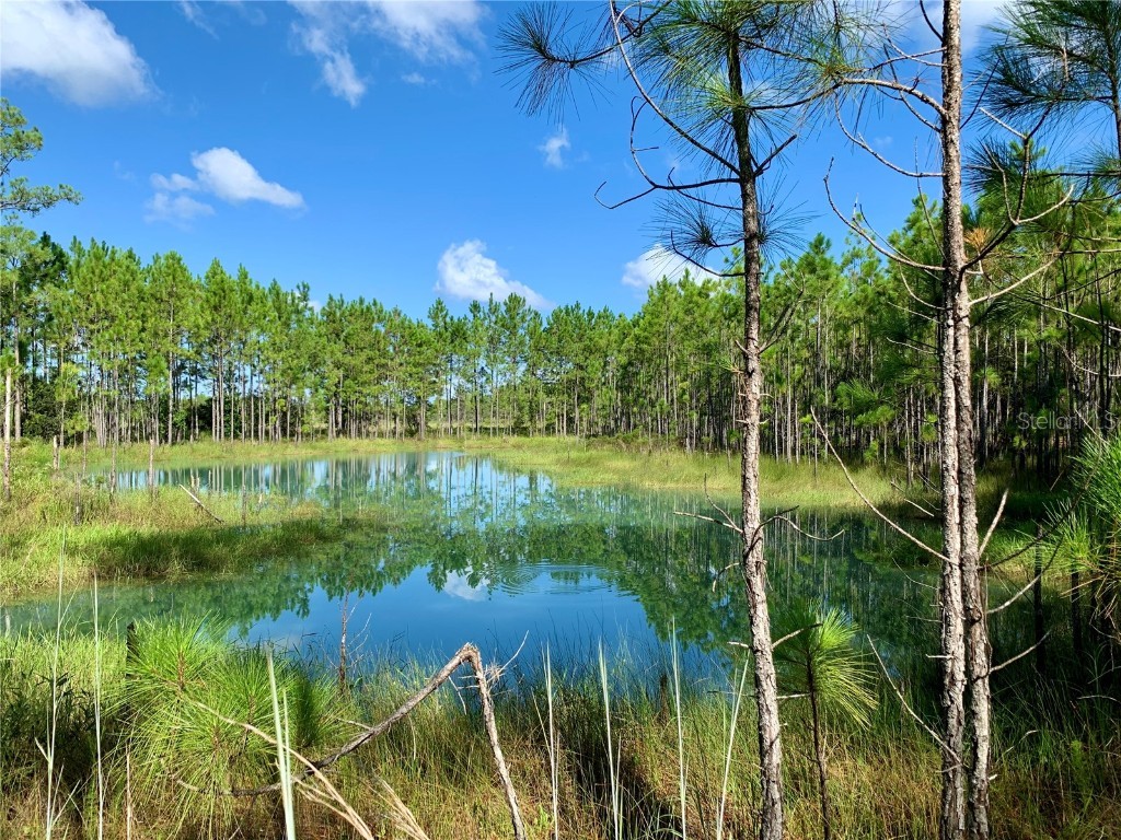 LOT 8 9 Jericho Trail Eustis FL 32736 - LAKE NORRIS G5072773 image1