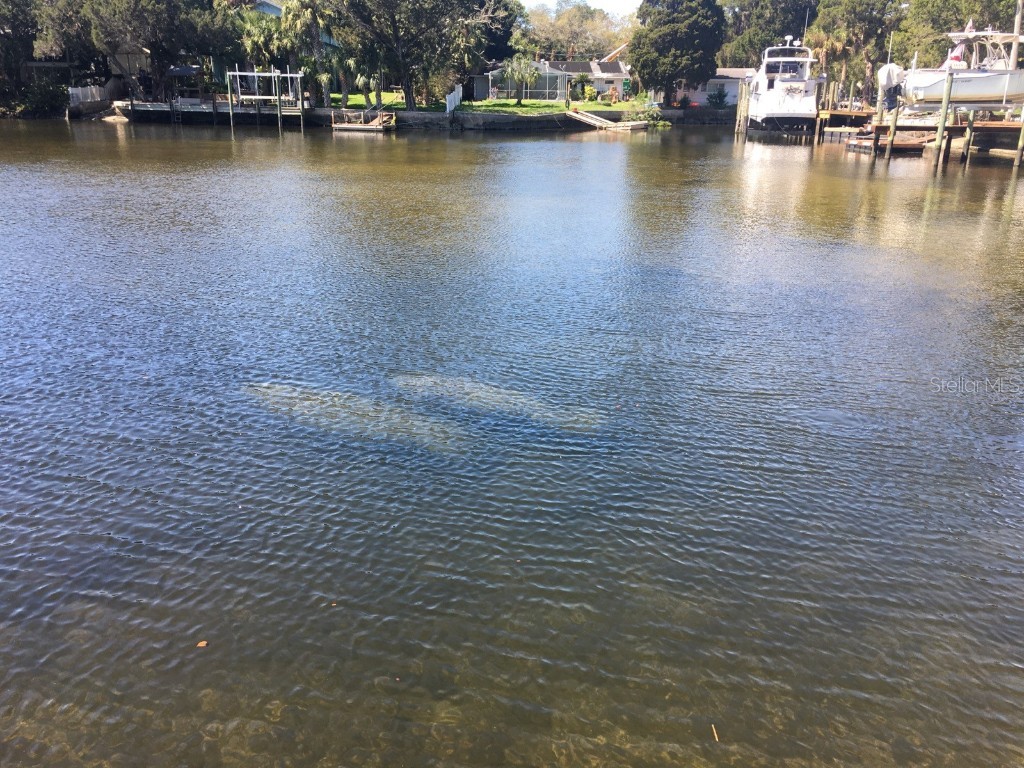 LOT 8 & 9 Old Dixie Highway Hudson FL 34667 W7845544 image1