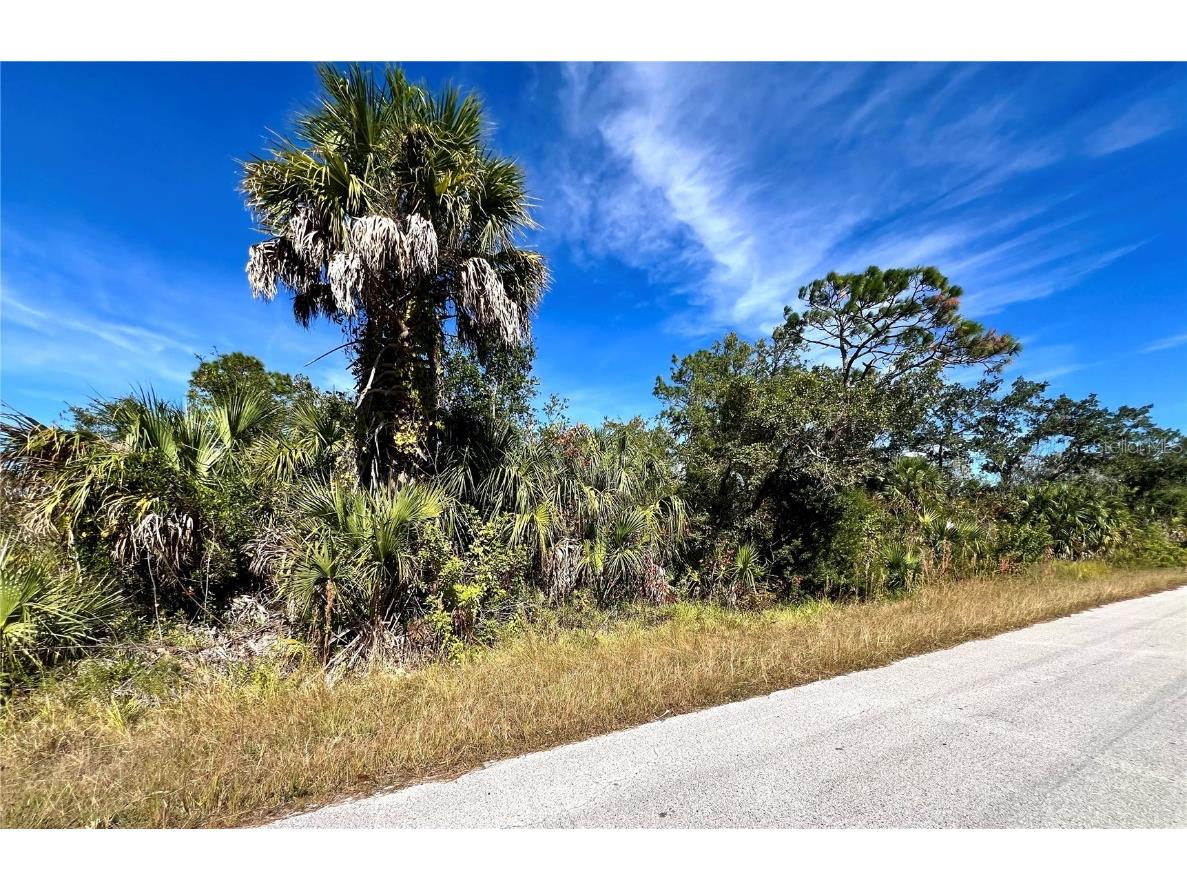 LOT 8 Detroit Ave Hudson FL 34667 TB8447279 image1
