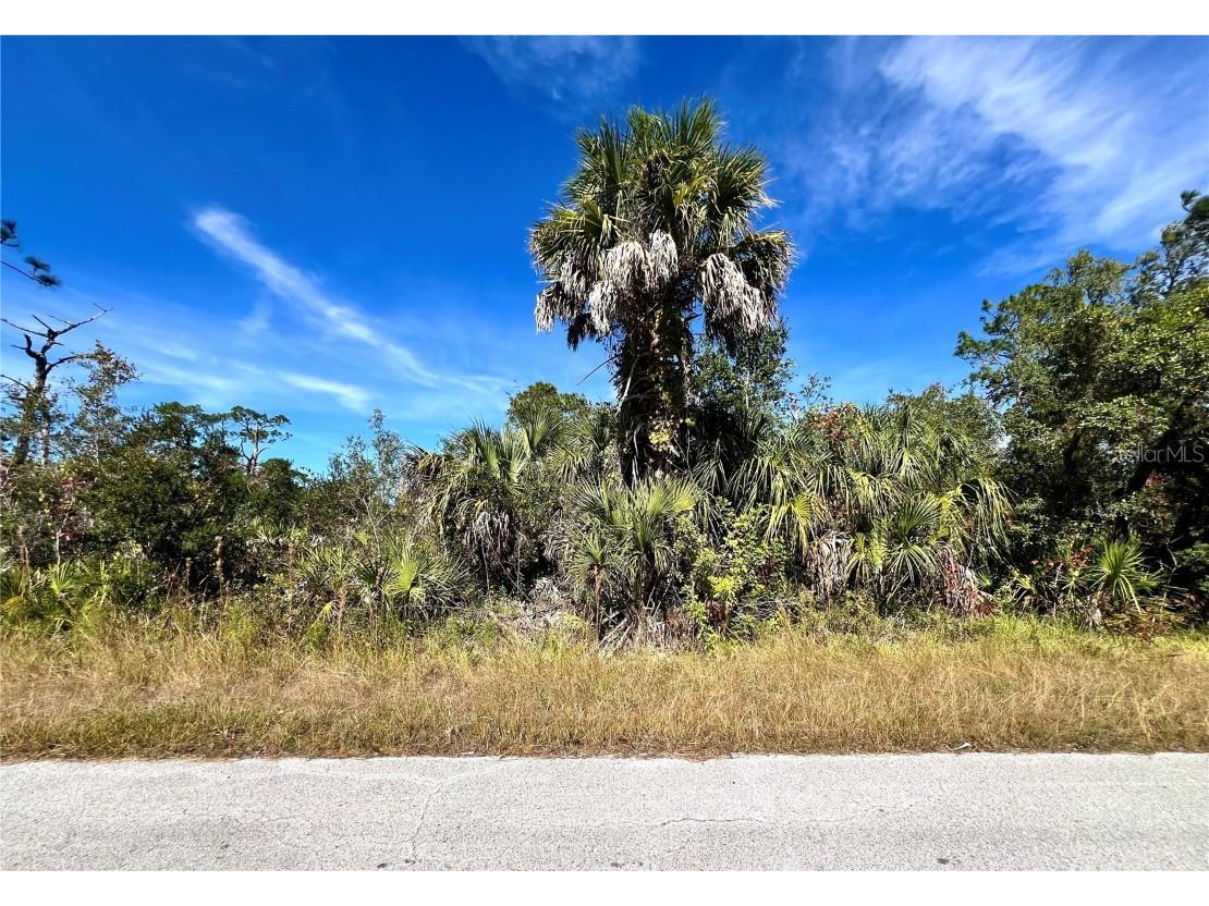 LOT 8 Detroit Ave Hudson FL 34667 TB8447279 image2