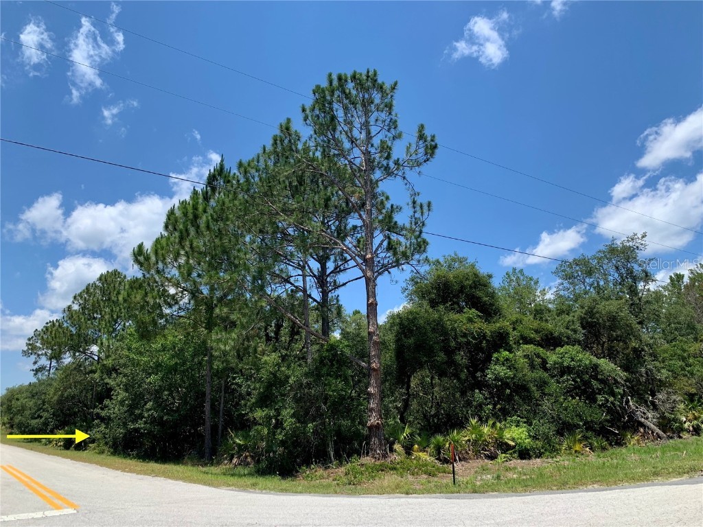LOT 8 E Thyme Avenue Eustis FL 32736 - LAKE NORRIS G5082258 image1