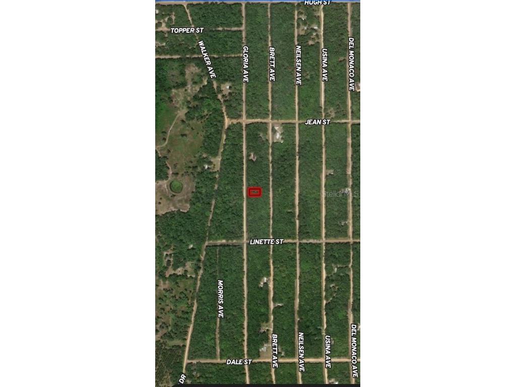 LOT 8 Gloria Avenue Interlachen FL 32148 OM710435 image1