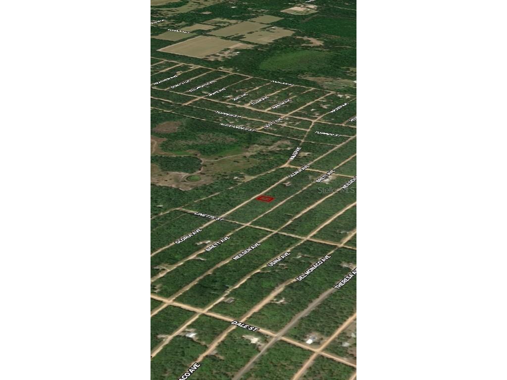 LOT 8 Gloria Avenue Interlachen FL 32148 OM710435 image3