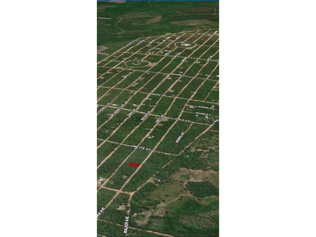 LOT 8 Gloria Avenue Interlachen FL 32148 OM710435 image4