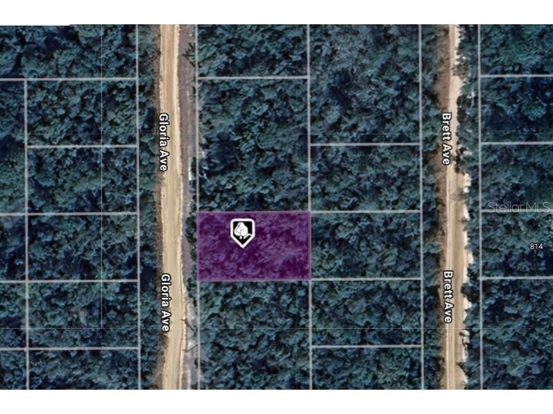 LOT 8 Gloria Avenue Interlachen FL 32148 OM711486 image1