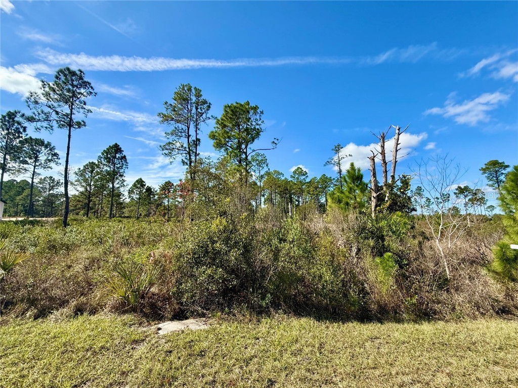 LOT 8 Honeysuckle Street Eustis FL 32736 - LAKE NORRIS G5100661 image1