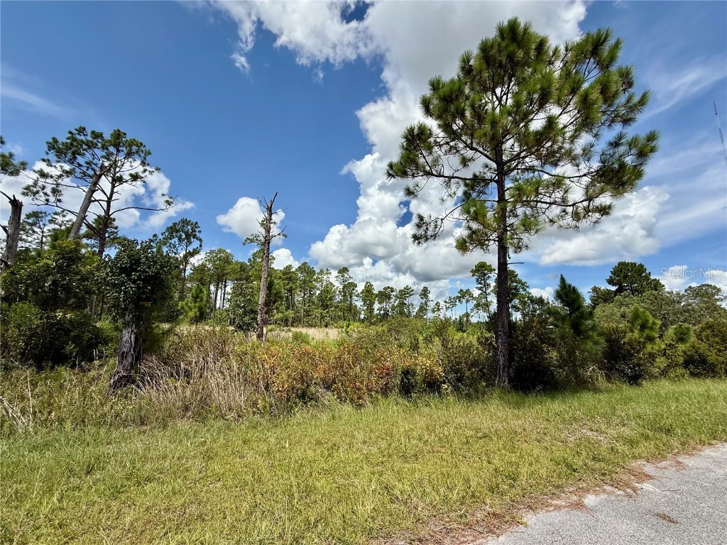 LOT 8 Honeysuckle Street Eustis FL 32736 - LAKE NORRIS G5100661 image10