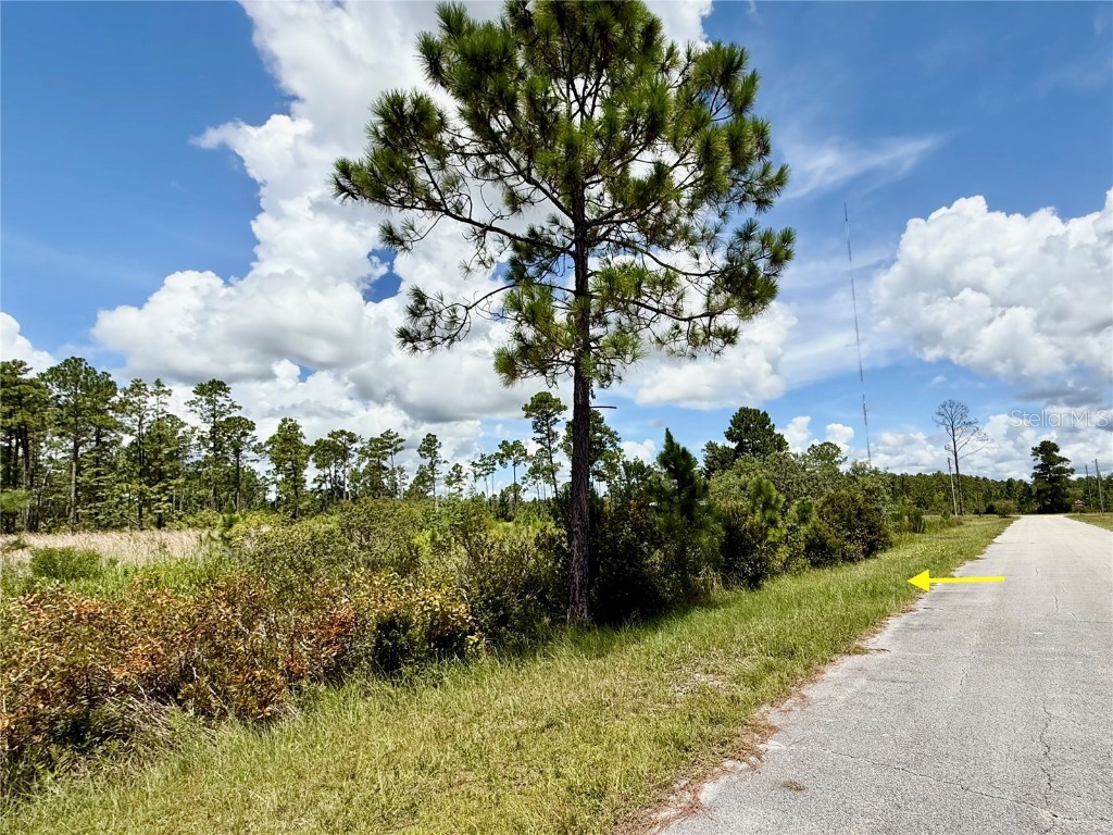 LOT 8 Honeysuckle Street Eustis FL 32736 - LAKE NORRIS G5100661 image11
