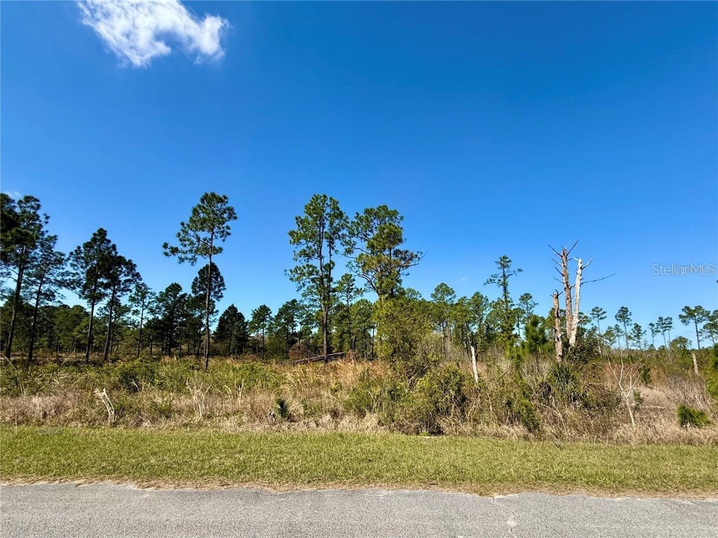 LOT 8 Honeysuckle Street Eustis FL 32736 - LAKE NORRIS G5100661 image12
