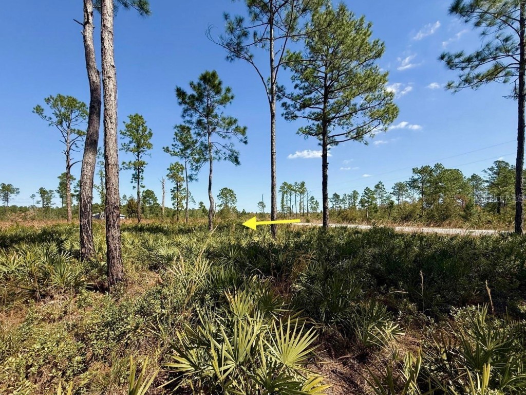 LOT 8 Honeysuckle Street Eustis FL 32736 - LAKE NORRIS G5100661 image13