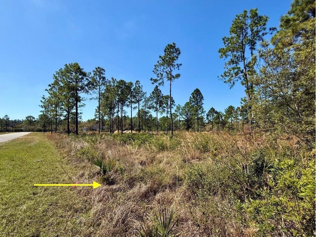 LOT 8 Honeysuckle Street Eustis FL 32736 - LAKE NORRIS G5100661 image14