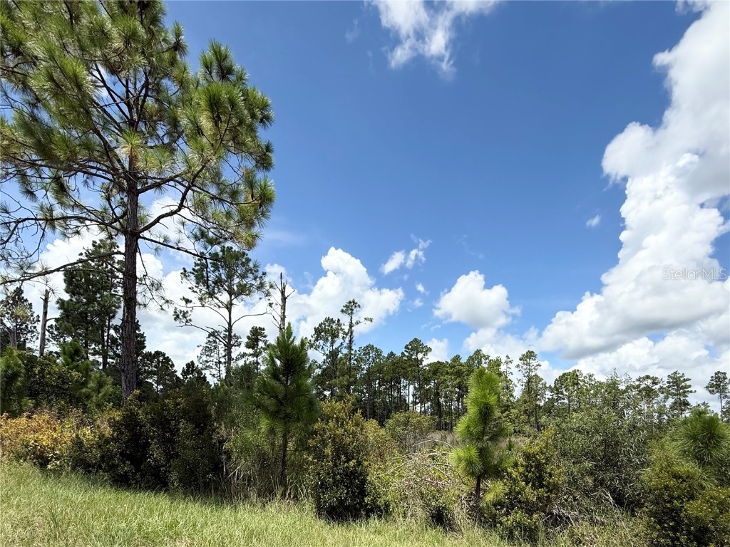 LOT 8 Honeysuckle Street Eustis FL 32736 - LAKE NORRIS G5100661 image15