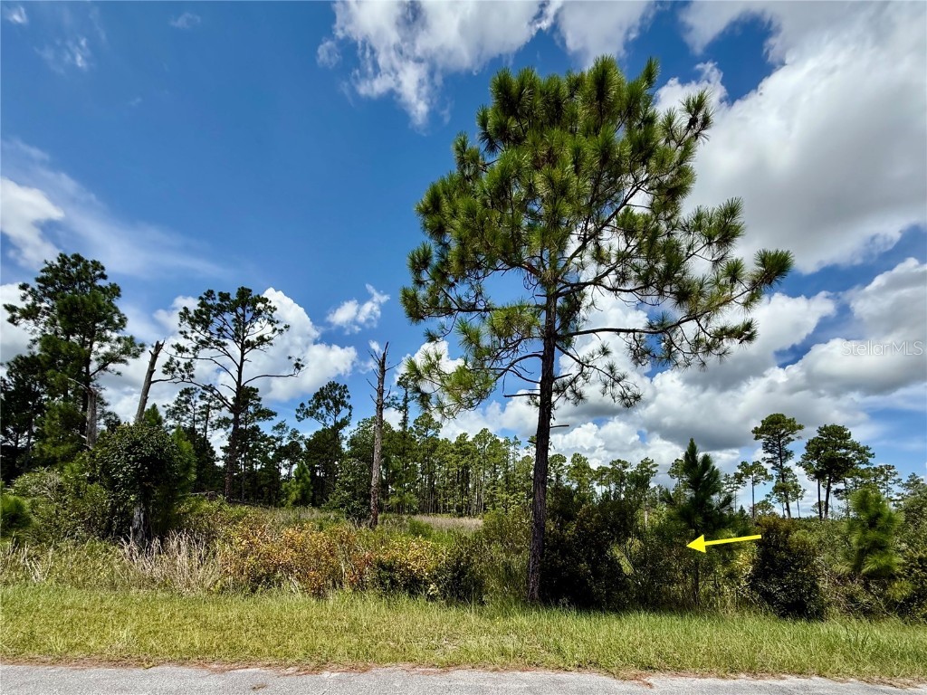 LOT 8 Honeysuckle Street Eustis FL 32736 - LAKE NORRIS G5100661 image16