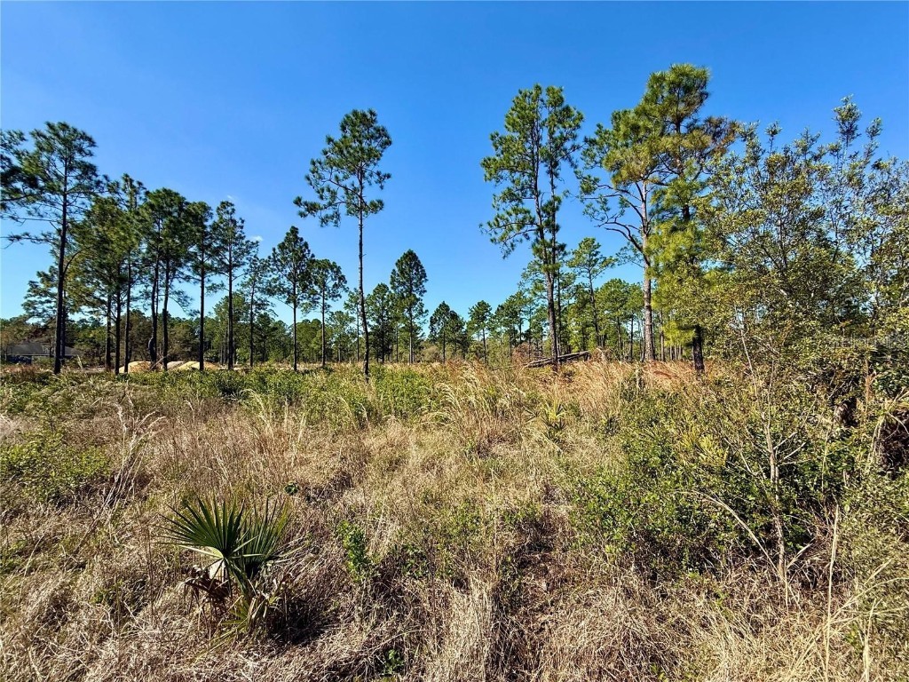 LOT 8 Honeysuckle Street Eustis FL 32736 - LAKE NORRIS G5100661 image17