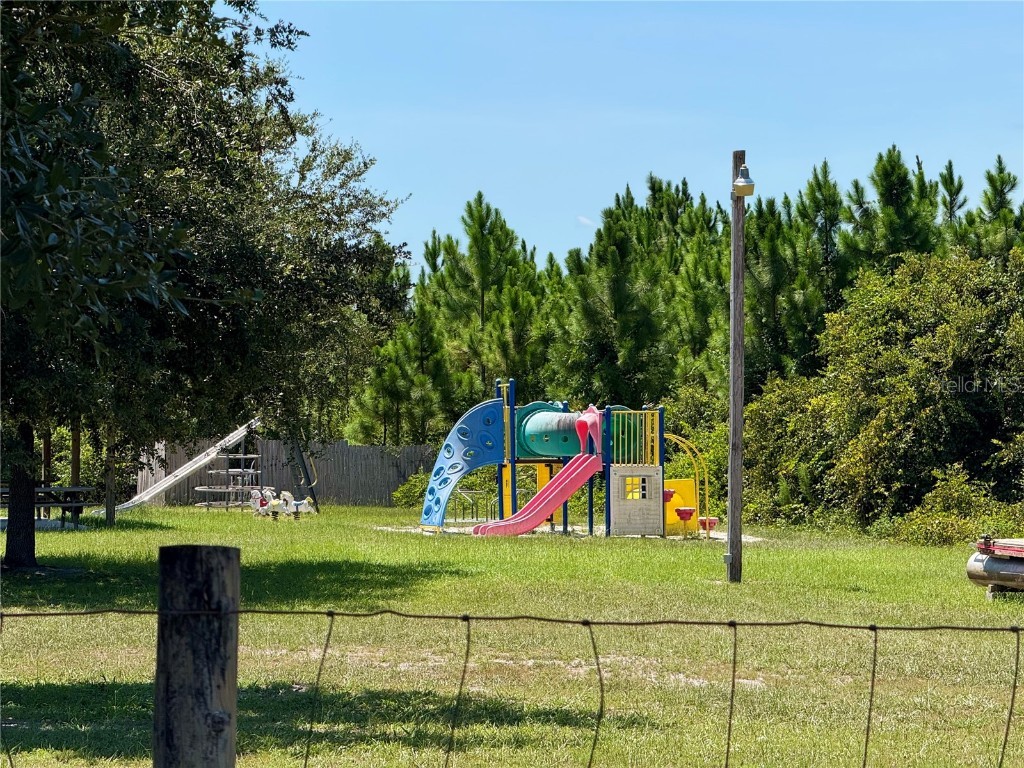 LOT 8 Honeysuckle Street Eustis FL 32736 - LAKE NORRIS G5100661 image23