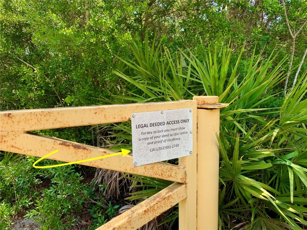 LOT 8 Honeysuckle Street Eustis FL 32736 - LAKE NORRIS G5100661 image26