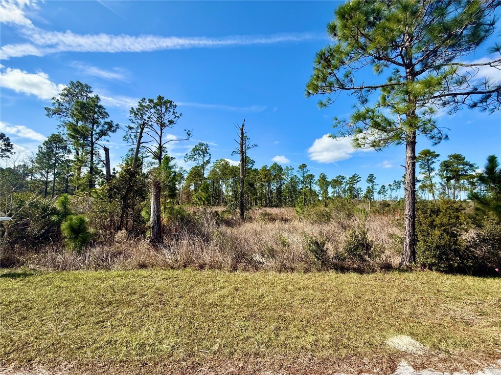LOT 8 Honeysuckle Street Eustis FL 32736 - LAKE NORRIS G5100661 image3