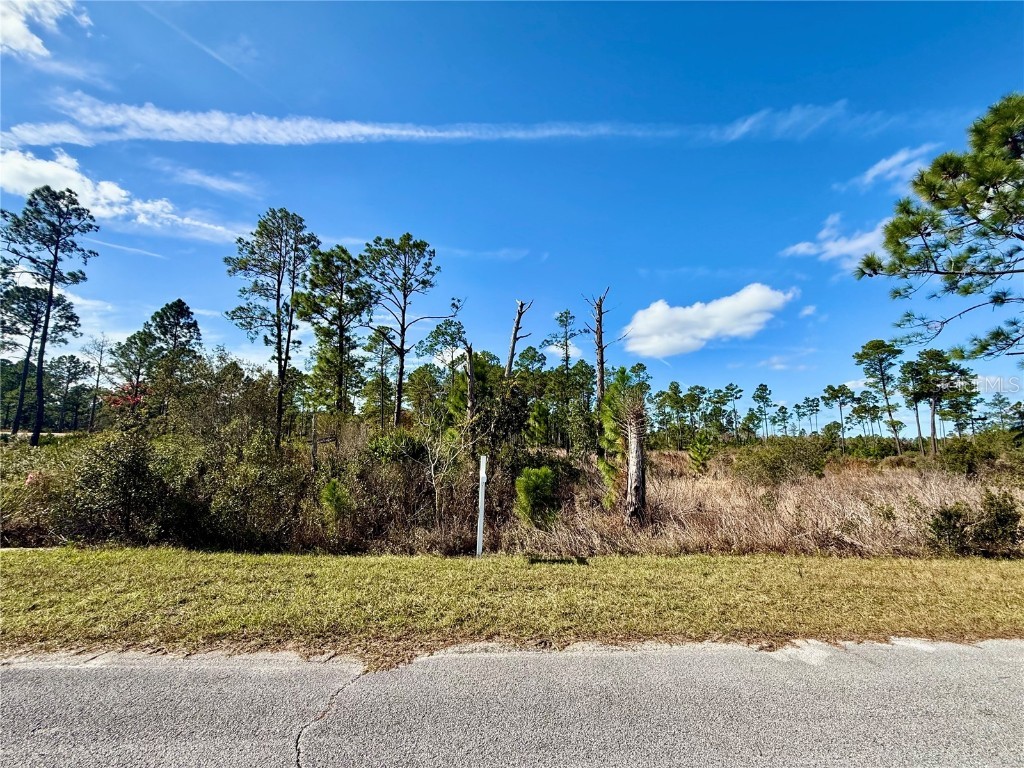 LOT 8 Honeysuckle Street Eustis FL 32736 - LAKE NORRIS G5100661 image4