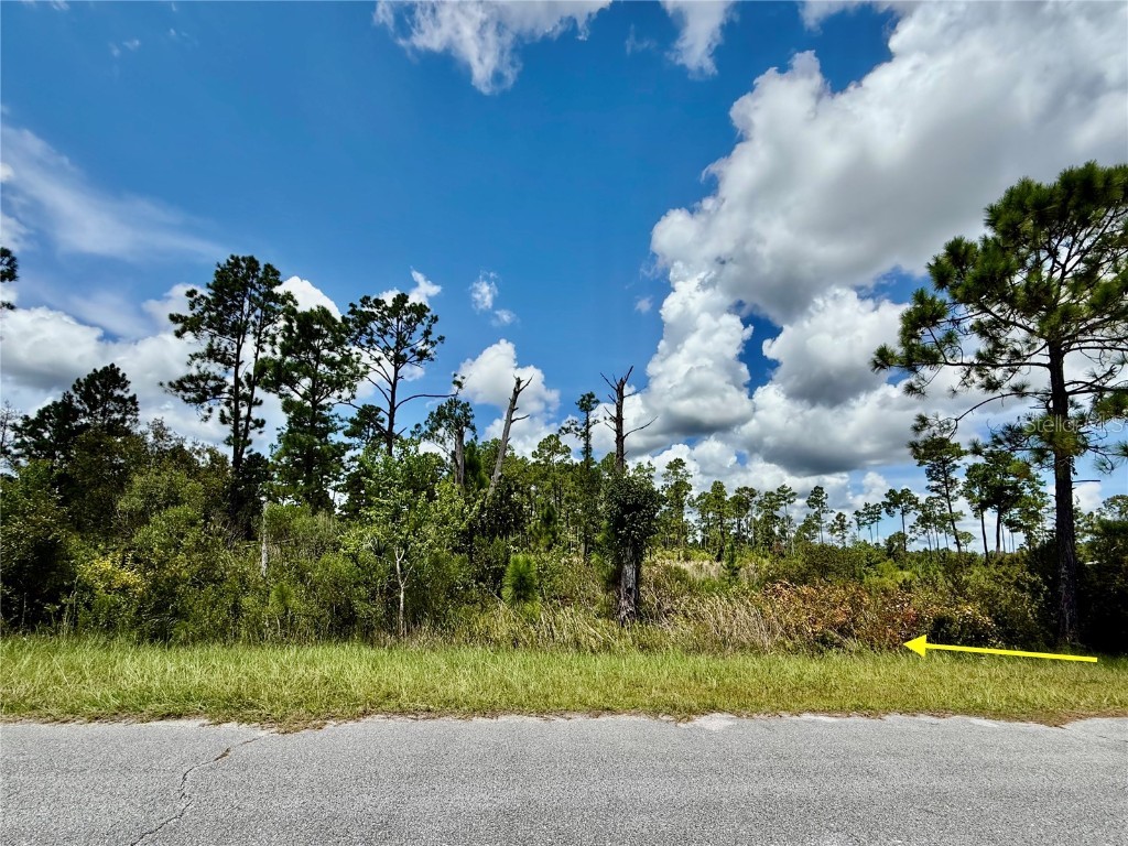 LOT 8 Honeysuckle Street Eustis FL 32736 - LAKE NORRIS G5100661 image6