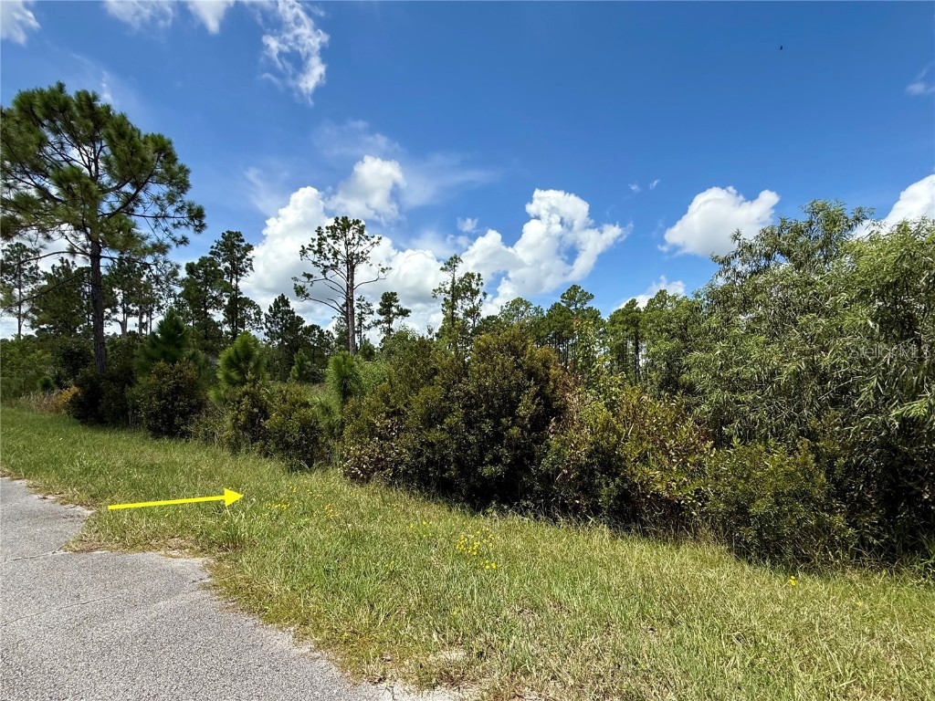 LOT 8 Honeysuckle Street Eustis FL 32736 - LAKE NORRIS G5100661 image8