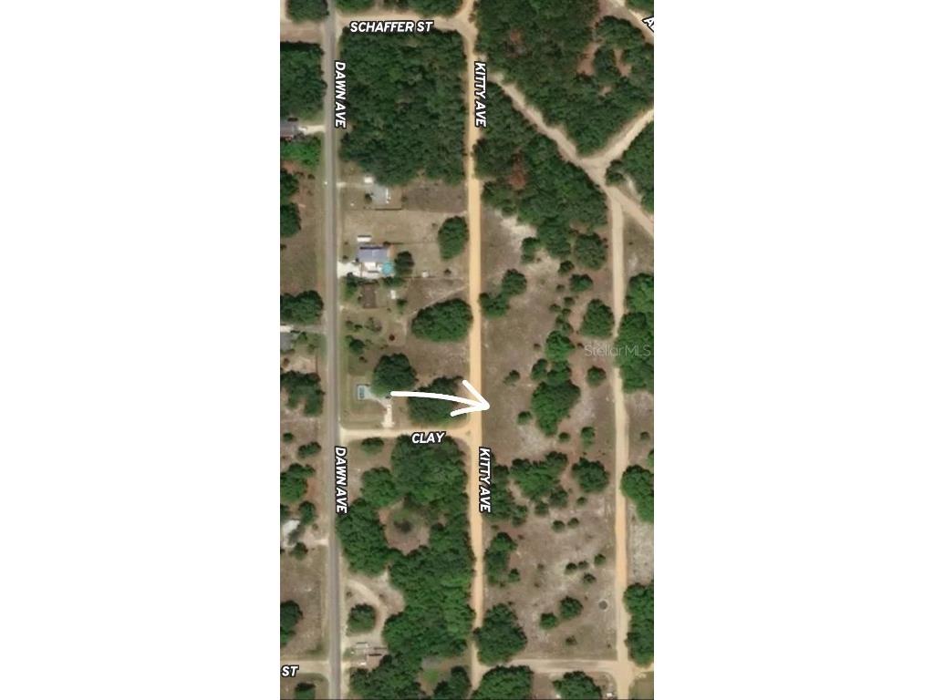 LOT 8 Kitty Ave Interlachen FL 32148 OM710315 image1