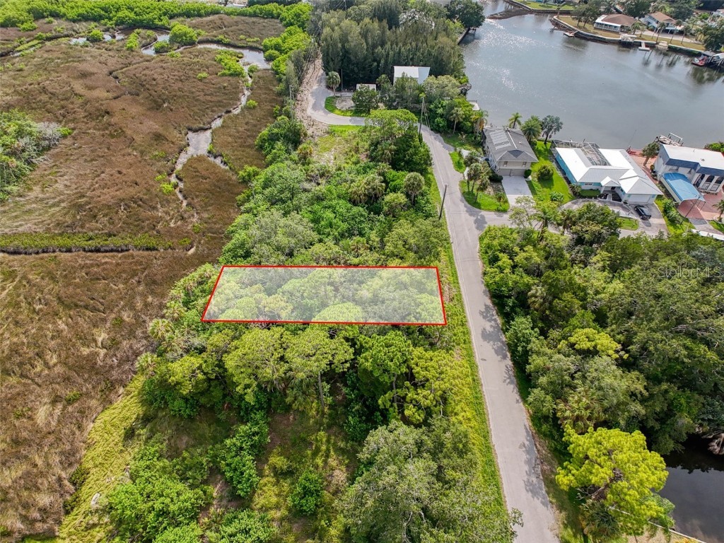 LOT 8 Nowiki Avenue Hudson FL 34667 W7866623 image10