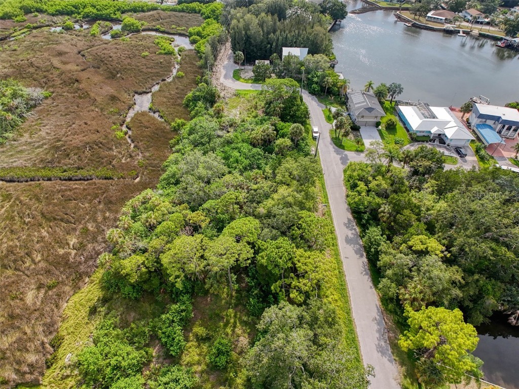 LOT 8 Nowiki Avenue Hudson FL 34667 W7866623 image11