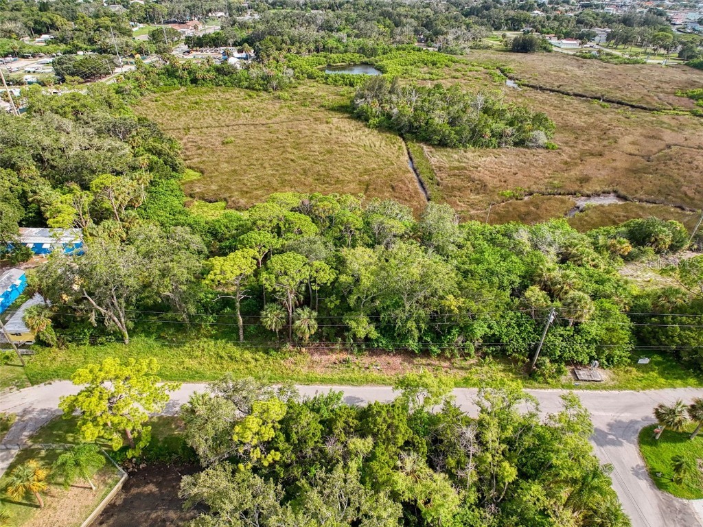 LOT 8 Nowiki Avenue Hudson FL 34667 W7866623 image3