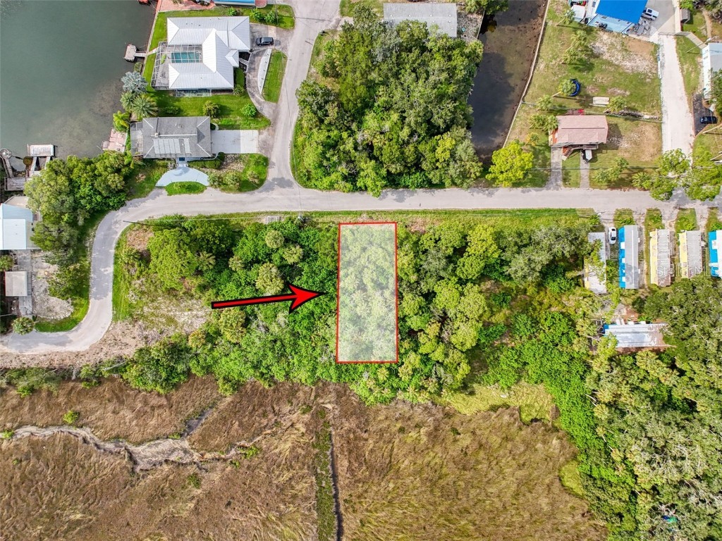 LOT 8 Nowiki Avenue Hudson FL 34667 W7866623 image4