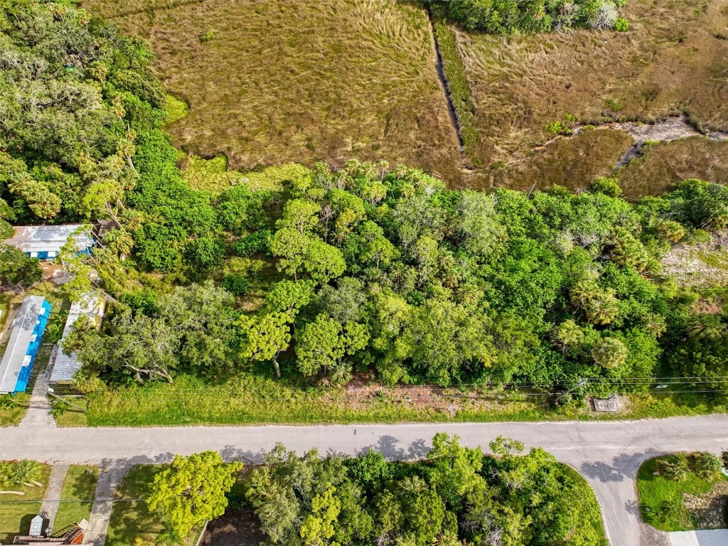 LOT 8 Nowiki Avenue Hudson FL 34667 W7866623 image7