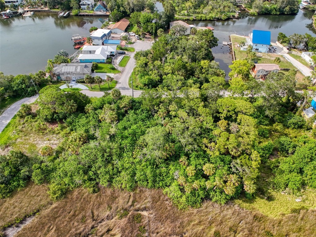 LOT 8 Nowiki Avenue Hudson FL 34667 W7866623 image9