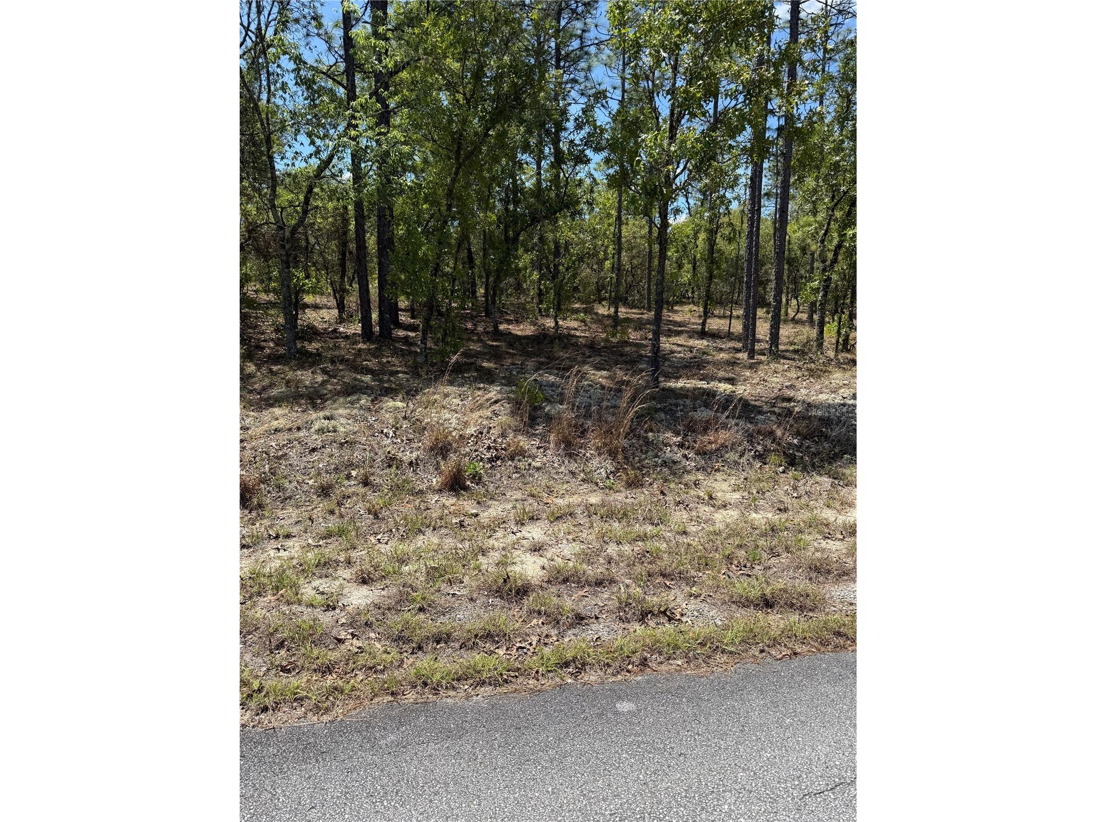 LOT# 8 SW Mineola Lane Dunnellon FL 34431 O6398888 image1