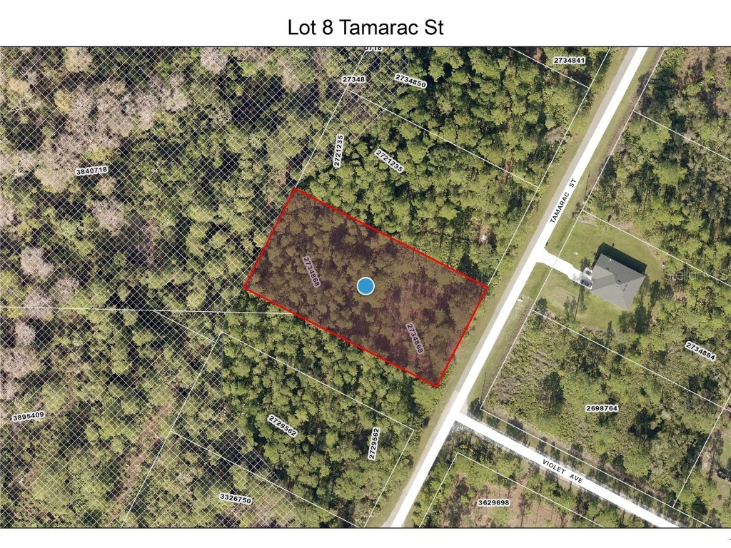LOT 8 Tamarac Street Eustis FL 32736 - LAKE NORRIS O6305779 image1