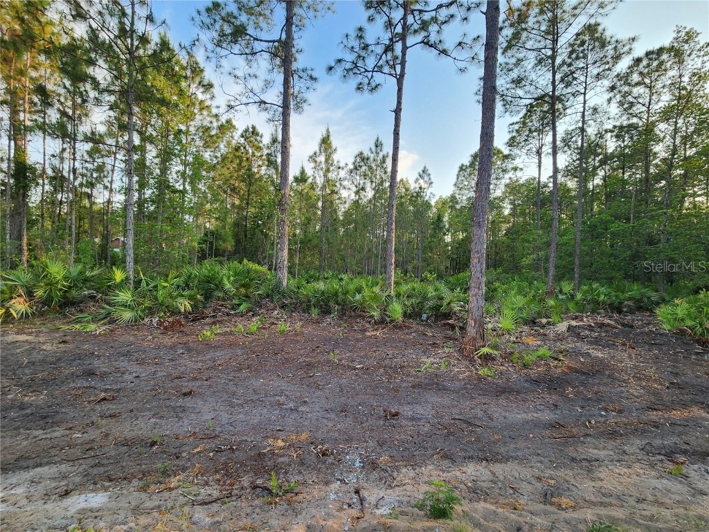 LOT 8 Tamarac Street Eustis FL 32736 - LAKE NORRIS O6305779 image4
