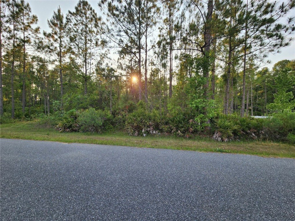 LOT 8 Tamarac Street Eustis FL 32736 - LAKE NORRIS O6305779 image6