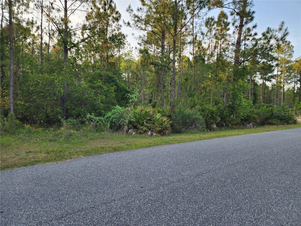 LOT 8 Tamarac Street Eustis FL 32736 - LAKE NORRIS O6305779 image7