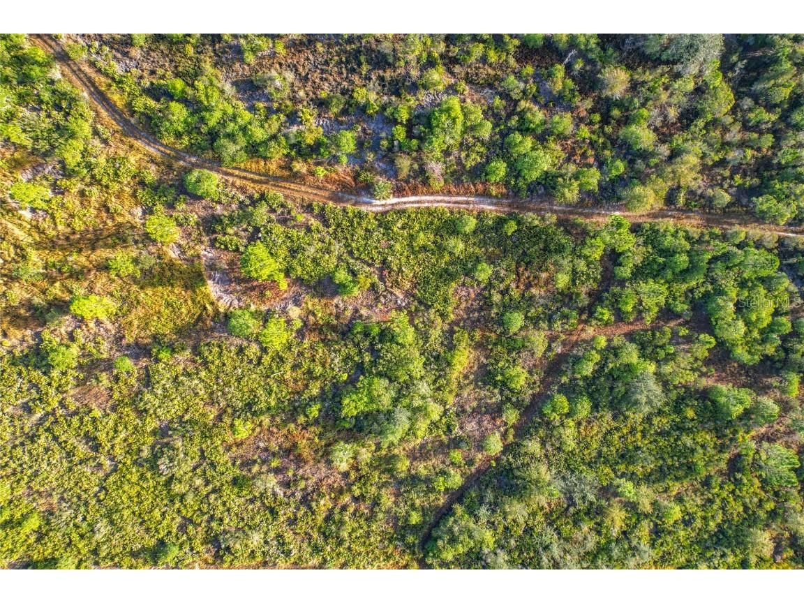 LOT 81 Meadow Lark Boulevard Lake Wales FL 33898 G5105889 image14