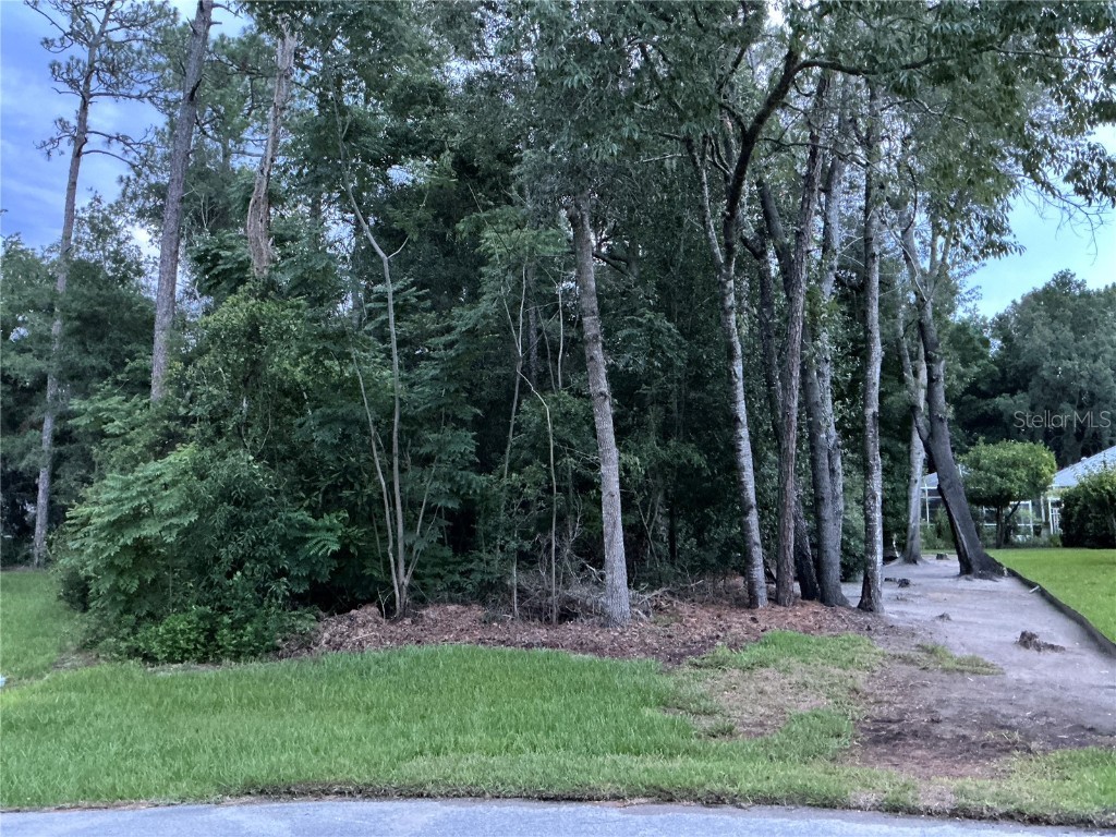 LOT 83 SW 96th Lane Dunnellon FL 34432 OM683678 image1